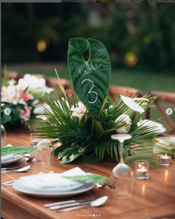 Anthurium Table Numbers