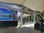 LED Screen