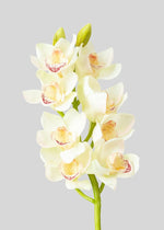 Custom Bouquet - Single Stem