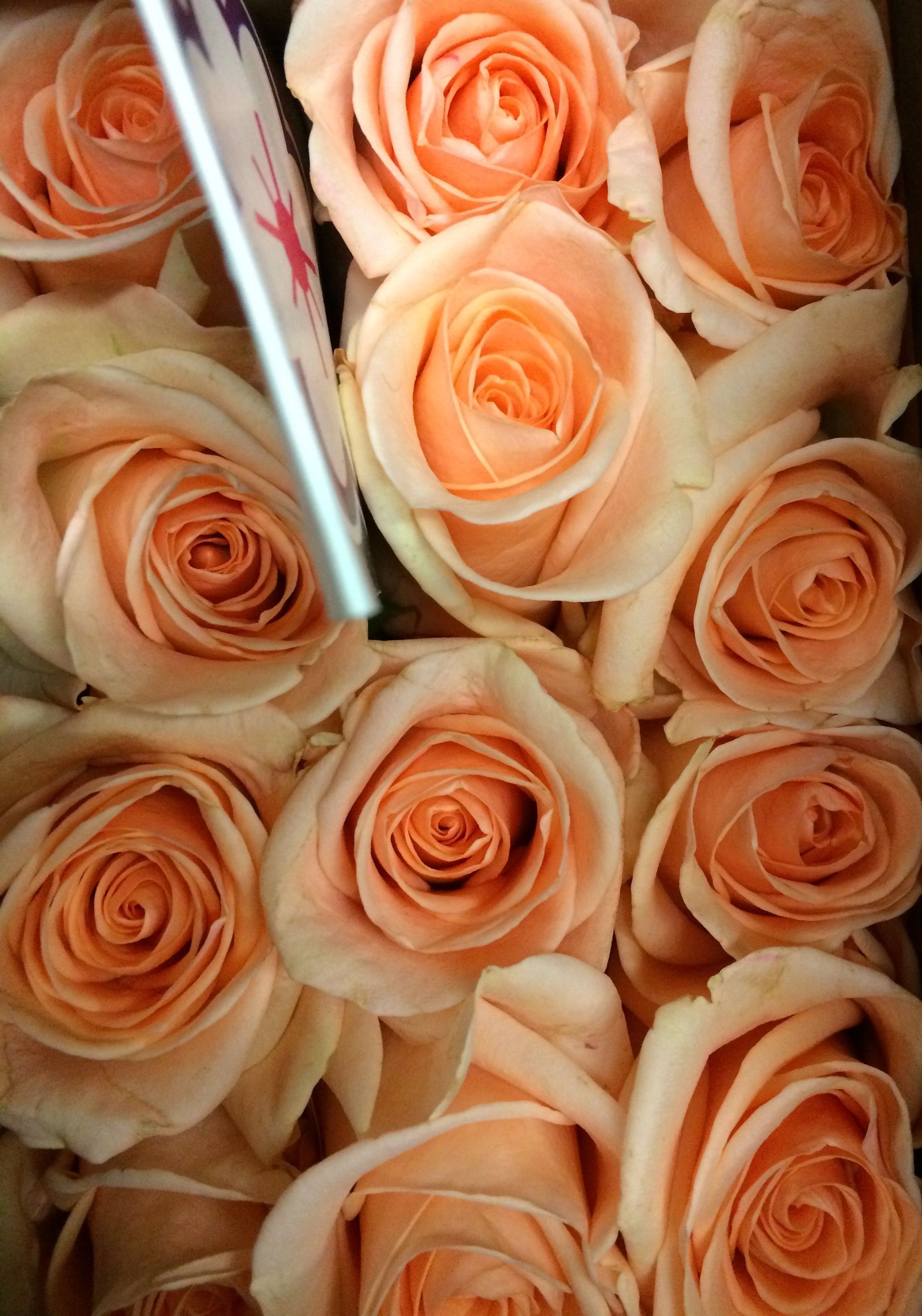 Custom Bouquet - Single Stem