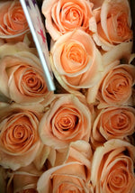 Custom Bouquet - Single Stem