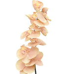 Custom Bouquet - Single Stem