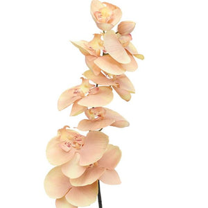 Custom Bouquet - Single Stem