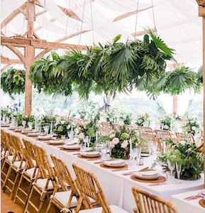Palm Feature Canopy only - per metre