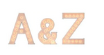 Large Light Up Letters