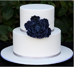 Intimate Wedding 1 Tier Cake - Fondant