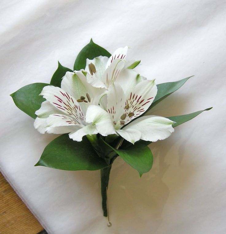 Tropical Buttonhole Collection