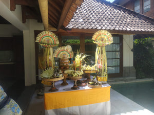 Balinese Blessing Ceremony