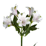 Custom Bouquet - Single Stem