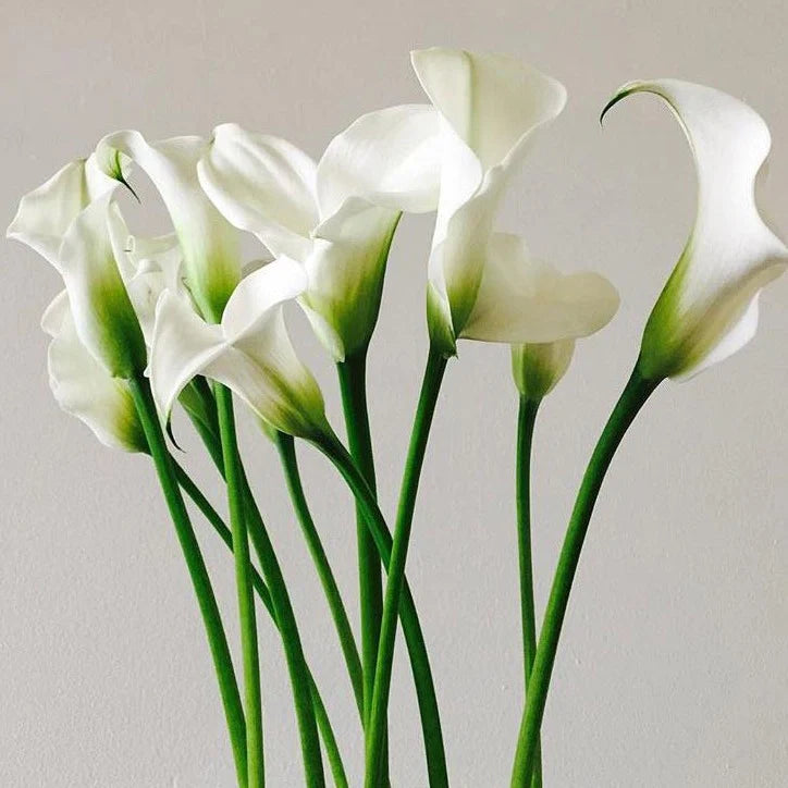 Custom Bouquet - Single Stem