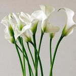 Custom Bouquet - Single Stem