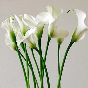 Custom Bouquet - Single Stem